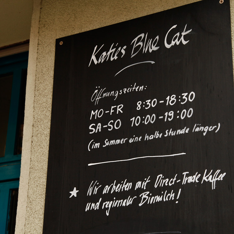 Katies Blue Cat